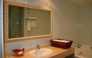 een badkamer met een wastafel en een spiegel bij La Posada del Rancho in Segovia