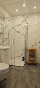 a bathroom with a shower and a toilet at Ferienwohnung Nideggen, Eifel, Nähe Ruhrsee, Nationalpark in Nideggen +25 photos