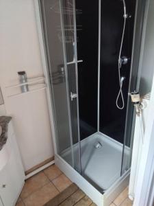 a shower with a glass door in a bathroom at Maison de caractère in Saint-Vert