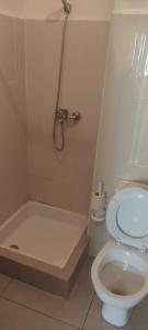 a bathroom with a shower and a toilet and a tub at Appartement à Sable d'or tanger in Tangier