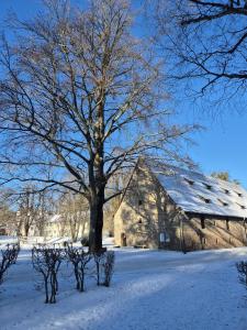 an old stone barn with a tree in the snow at Ferienwohnung mit Stil in Georgenthal