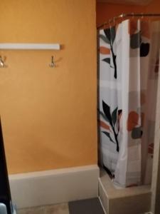 a bathroom with a shower with a shower curtain at Lo Cantalés d’Aubrac in Laguiole