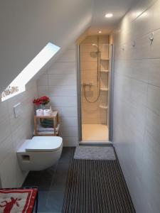 a bathroom with a toilet and a shower in it at Ferienwohnung Auszeit in Aue +25 photos