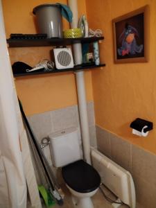 a bathroom with a toilet with a shelf above it at Lo Cantalés d’Aubrac in Laguiole