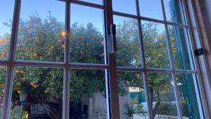 an open window looking out at an orange tree at The Lemon Tree House in Quinta do Conde +3 photos