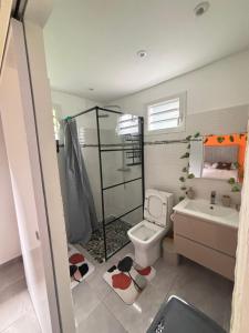 a bathroom with a toilet and a shower and a sink at L'Abri BEAUCI- TURLET in Goyave +7 photos