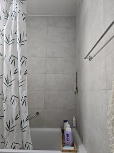 a bathroom with a shower curtain and a tub at welcome geneva in Geneva +11 photos