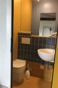 a bathroom with a toilet and a sink at Apartment sunehus-ch by Interhome in Stein