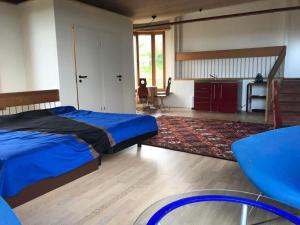 a bedroom with a bed and a rug and a table at Apartment sunehus-ch by Interhome in Stein
