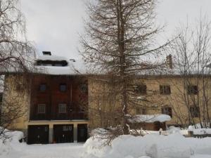 a building with a tree in the snow at Apartment Wohnung Grün by Interhome in La Punt-Chamues-ch