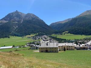 a village in a valley with mountains in the background at Apartment Wohnung Grün by Interhome in La Punt-Chamues-ch