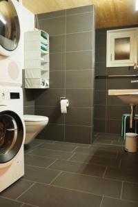 a bathroom with a washing machine and a sink at Apartment Ballmoos Ferienwohnung by Interhome in Gais