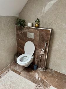 a bathroom with a white toilet and a shower at Cabana Bradul Adelinei in Bucsin +33 photos
