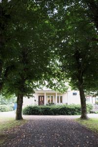 
a tree in front of a house at Partille Vandrarhem in Partille
