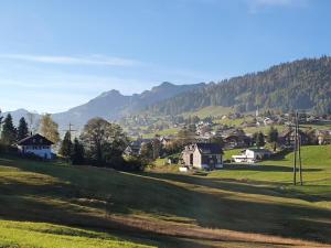 a small village in a valley with mountains in the background at Apartment Bädli by Interhome in Wildhaus