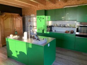 a green kitchen with green cabinets and a sink at Apartment nirkwerk by Interhome in Schönengrund +19 photos