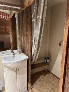 a bathroom with a sink and a shower at LA VARNACHE logement cosy in Bonvillard
