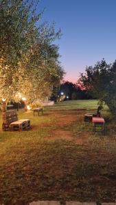 a park with benches in the grass at night at Agriturismo San Germano in San Vittorino +13 photos