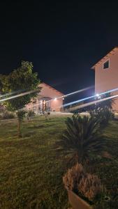 a building with a palm tree in a yard at night at Agriturismo San Germano in San Vittorino