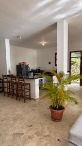 a kitchen with a table and chairs and a plant at Villa Aurora Samaná in Santa Bárbara de Samaná