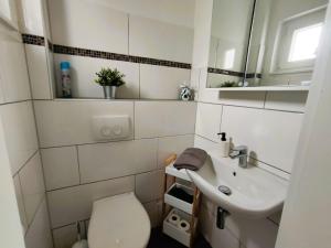 a small bathroom with a toilet and a sink at Apartment Studio-Wohnung Heide2 mit Terrasse by Interhome in Walsrode +7 photos