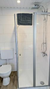 a bathroom with a toilet and a shower at Ferienwohnung Dennis in Nordleda