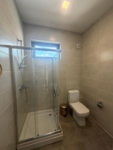 a bathroom with a shower and a toilet and a sink at Apartment Natali Inn in Tbilisi City +37 photos