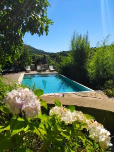 a swimming pool in a yard with flowers at Les Vergers des Maures in La Garde-Freinet