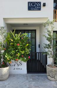 a front door of a building with two potted plants at Casa Ecos d' Alma in Isla Mujeres