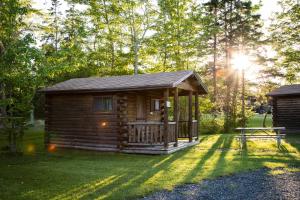 Narrows Too Camping Resort Cabin 6 في ترينتون: كابينة خشب مع طاولة نزهة على العشب