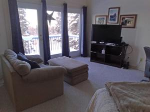 a living room with a couch and a television at Moosedance 2 bedroom suite, beautiful views in Anchorage