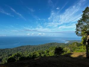 a view of the ocean from the top of a hill at Módulos Yunni in Uvita