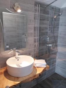 a bathroom with a sink and a shower at Rooms GRIZZLY in Slunj +19 photos