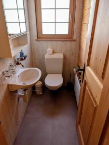 a small bathroom with a toilet and a sink at Maisonette-Wohnung in Rueras bei Sedrun - 200m zum Bahnhof - Perfekt für Ski & Ausflüge in Rueras +15 photos