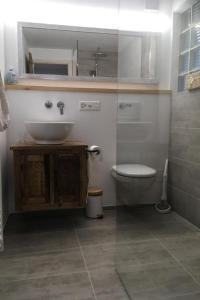 a bathroom with a sink and a toilet and a mirror at Apartment Chasa Jaro by Interhome in Santa Maria Val Müstair