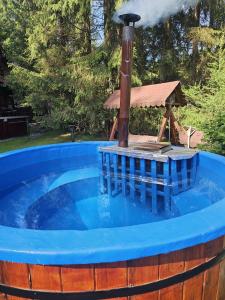 a hot tub with a fountain in a yard at Casa Arion in Arieşeni
