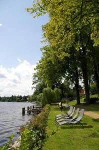 DämeritzSeehotel في برلين: صف من مقاعد الحديقة يجلس بجوار البحيرة