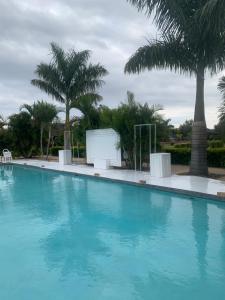 a large swimming pool with palm trees and a screen at Florencepalms resort & Spa in Marble Hall