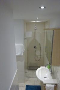 a bathroom with a shower and a sink at Apartment Rheintalblick 2 by Interhome in Linz am Rhein