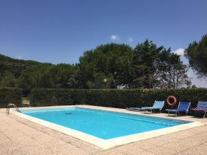 a swimming pool with two lawn chairs at Agriturismo Barattis in Piombino