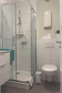 a bathroom with a shower and a toilet at Apartment Becker by Interhome in Bad Neuenahr-Ahrweiler