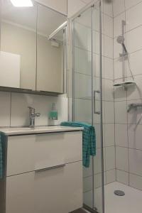 a bathroom with a sink and a shower at Apartment Becker by Interhome in Bad Neuenahr-Ahrweiler