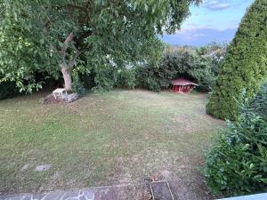a yard with two chairs and a tree at Offingener Ferienhaus & Monteurhaus in Offingen