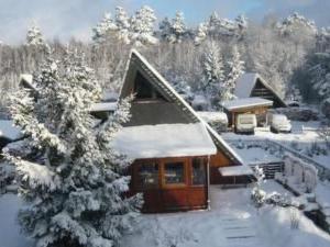 a house covered in snow with a tree at Holiday Home Eifelwaldhäuschen by Interhome in Blankenheim