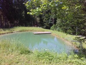 a small pond in the middle of a field at Apartment Ausgebaute Scheune by Interhome in Kollnburg