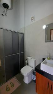 a bathroom with a white toilet and a sink at Alojamiento LA PERSEA in Encarnación
