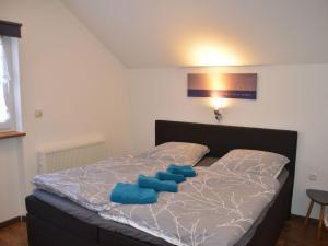 a bed with blue pillows on it in a bedroom at Apartment in Berghäuser by Interhome in Grafenwiesen +10 photos