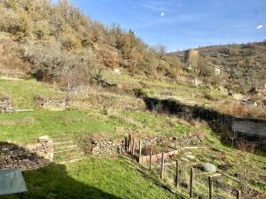 a view of a field with a hill with trees at La Sorga - gîte 12 personnes in Blesle