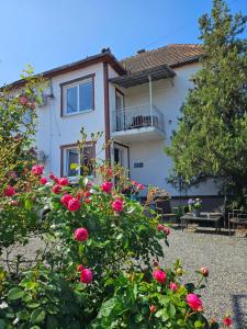 a house with pink roses in front of it at Villa Elena in Yanoshi