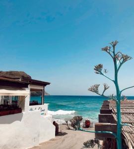 a house on the beach with a tree at La Virgen del Mar in Las Hortichuelas Bajas +7 photos